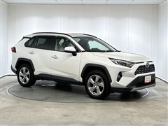 RAV4 HEV G E-Four