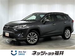 RAV4 G Zパッケージ 4WD