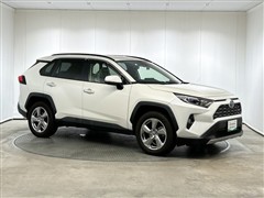 RAV4 HEV G E-Four
