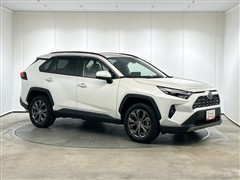 RAV4 HEV G E-Four