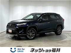 RAV4 HEV G E-Four