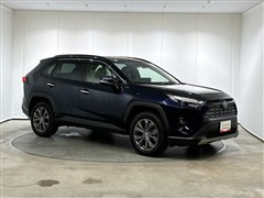 RAV4 HEV G E-Four