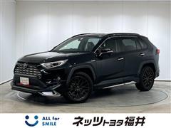 RAV4 HEV G