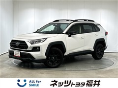 トヨタ RAV4アドベンチャーオフロード2