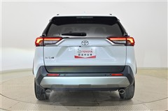 RAV4 G