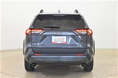 RAV4 アドベンチャー オフロート