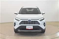RAV4HV G