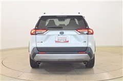 RAV4HV G