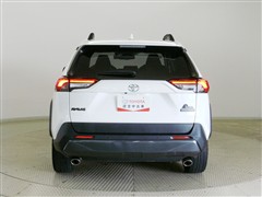 RAV4 アドベンチャー オフロート