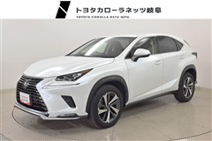 NX300 Iパッケージ