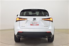 NX300 Iパッケージ