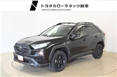RAV4 アドベンチャー オフロート