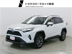 RAV4HV X