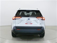 RAV4HV X