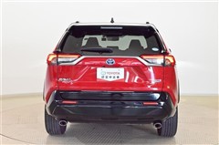RAV4 PHV ブラックトーン 4W