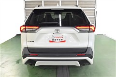 RAV4 G 4WD