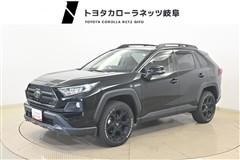 RAV4 アドベンチャー オフロート