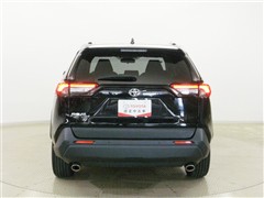 RAV4 X