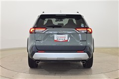 RAV4 アドベンチャー 4WD