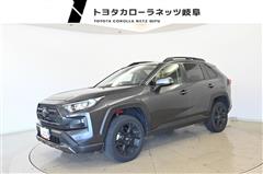 RAV4 アドベンチャー オフロート