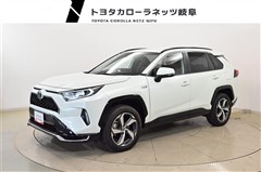 RAV4 PHV G