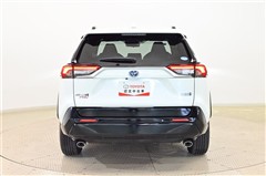 RAV4 PHV G
