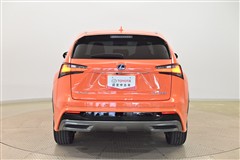 NX300h Fスポーツ