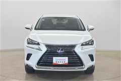 NX300h ヒョウジュンシャ