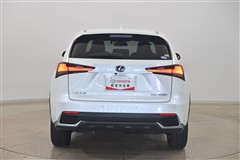 NX300h ヒョウジュンシャ