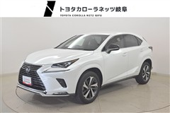 レクサス NX300h ヒョウジュンシャ