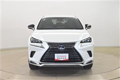 NX300h ヒョウジュンシャ