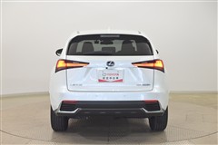 NX300h ヒョウジュンシャ