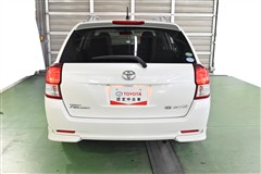 カローラフィールダーG エアロWXB