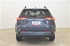 RAV4 アドベンチャー