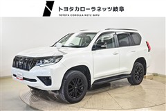 ランクルプラドTX L BL ED