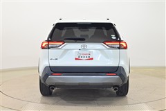 RAV4 G