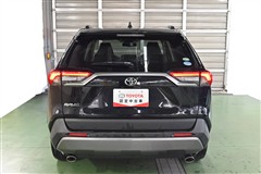 RAV4 G