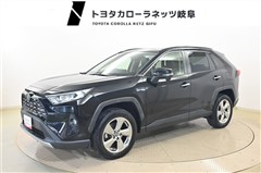RAV4 G