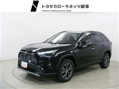 RAV4 HV G
