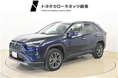RAV4 G