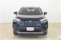 RAV4 G