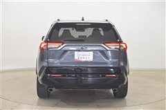 RAV4 PHV ブラックトーン