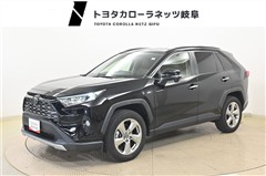 RAV4 G