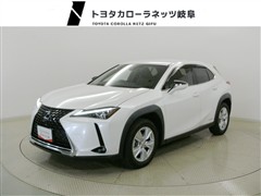UX250h ヒョウジュンシャ