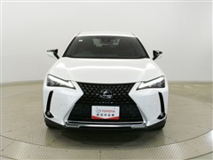 UX250h ヒョウジュンシャ