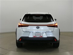 UX250h ヒョウジュンシャ