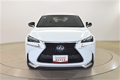 NX300h Fスポーツ
