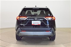 RAV4 G 4WD
