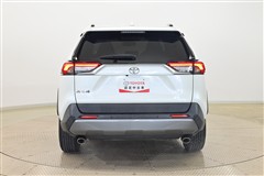 RAV4 G