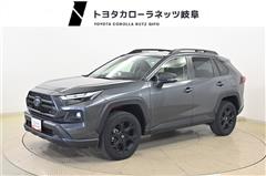 トヨタ RAV4アドベンチャーオフP2